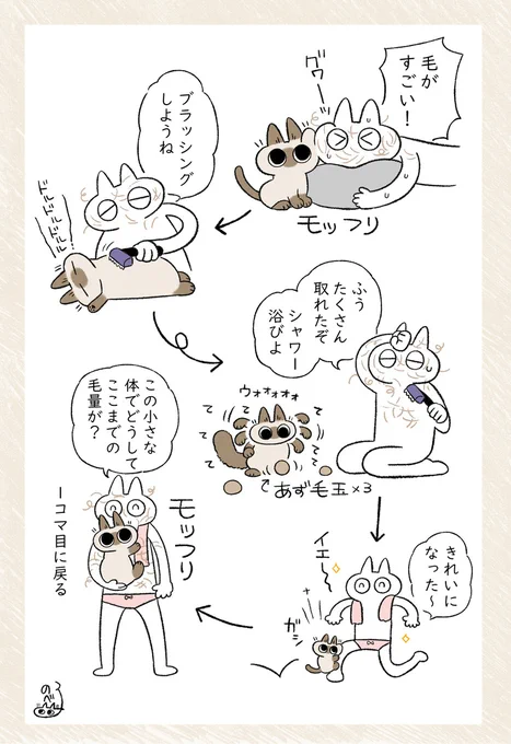 今年もやってます換毛期 #シャム猫あずきさんは世界の中心 