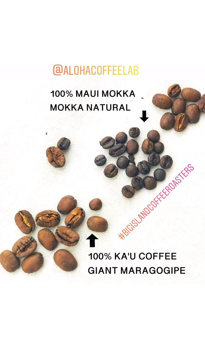 ALOHACOFFEELAB's tweet photo. hawaiian coffee
#alohacoffeelab
#ハワイアンコーヒー
#オンラインセミナー
#コーヒー販売 https://t.co/nPDb1RtO3X