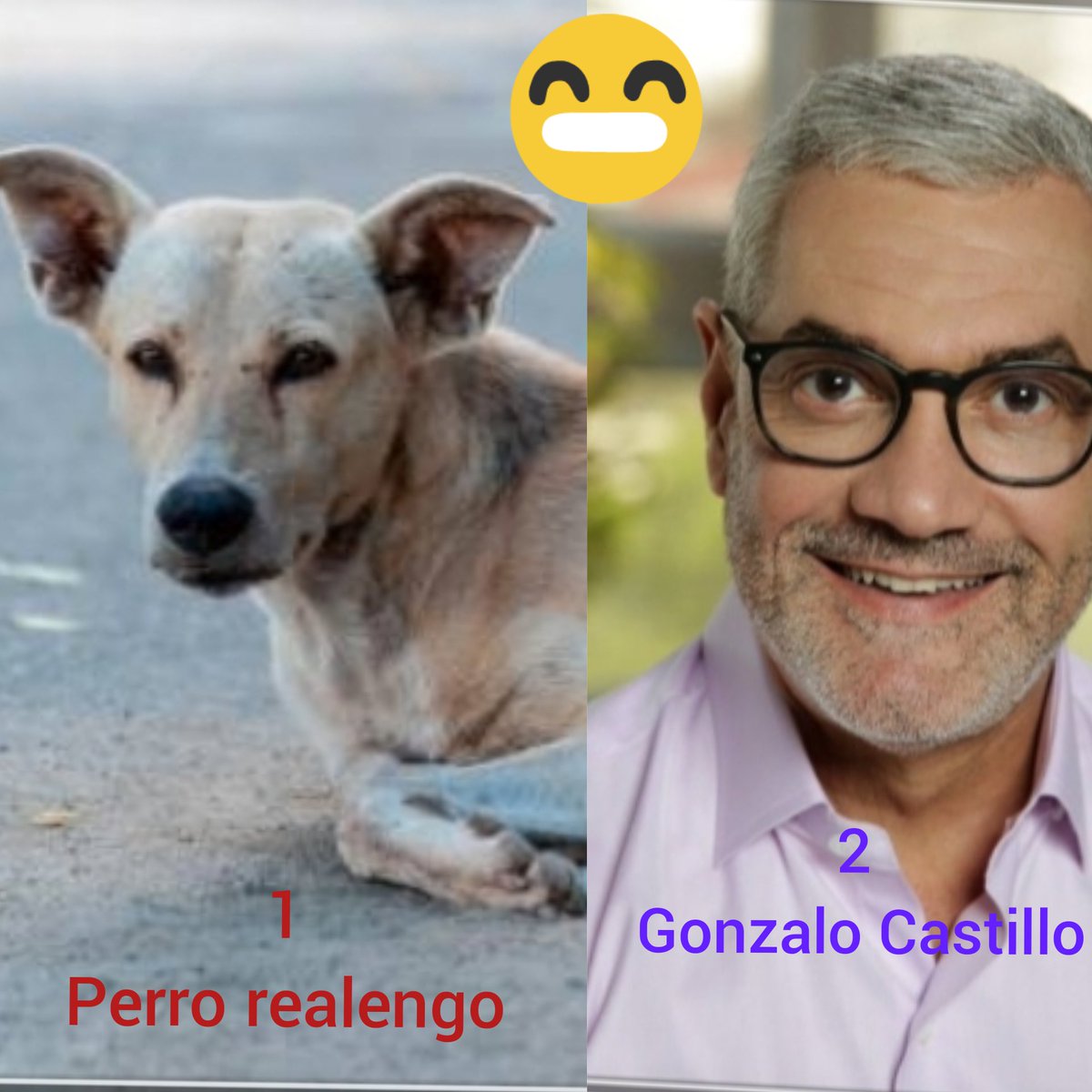 MichellDJ4's tweet image. Me gustaría saber que opinión tienen @euri_cabral y @AbelMartinezD de que en una encuesta este perro realengo desconocido le ganó con un 65% #SeVan