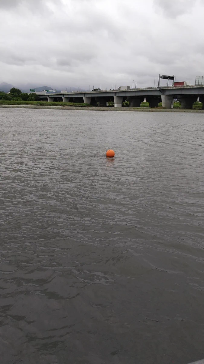 「アンパンマンの交換して飛んでった古い顔」だった…？！川に浮かぶブイがもうそれにしか見えないwww