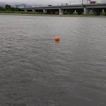 「アンパンマンの交換して飛んでった古い顔」だった…？!川に浮かぶブイがもうそれにしか見えない!