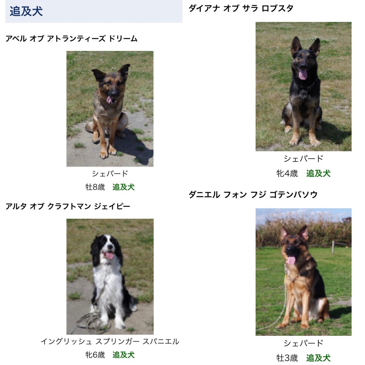 首藤 玲奈 Reina Shuto 病床で時間を持て余していたので 全国の警察犬について調べていたりしました プロフィールも可愛いし 茨城県警の警察犬の名前が長くてカッコいい 日本警察犬協会の名前の図鑑 がもの凄く面白かったです 英語とドイツ語表記 首藤 玲奈 Reina Shuto 病床で時間を持て余していたので 全国の警察犬について調べていたりしました プロフィールも可愛いし 茨城県警の警察犬の名前が長くてカッコいい 日本警察犬協会の名前の図鑑 がもの凄く面白かったです 英語とドイツ語表記
