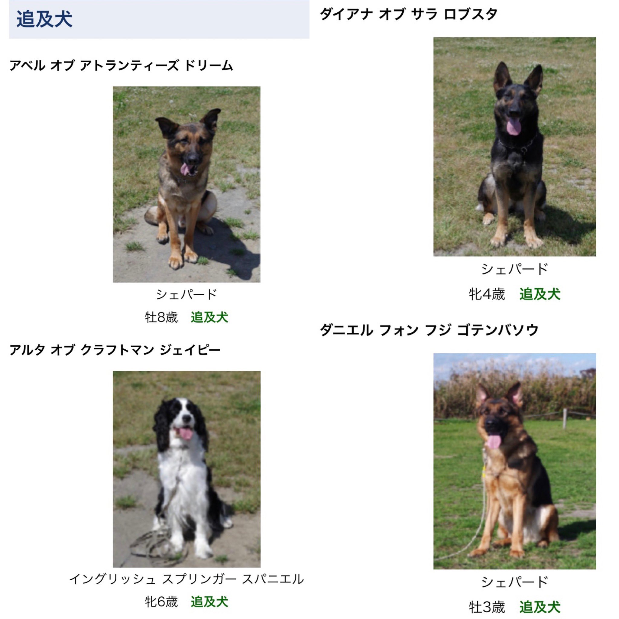 首藤 玲奈 Reina Shuto 病床で時間を持て余していたので 全国の警察犬について調べていたりしました プロフィールも可愛いし 茨城県警の警察犬の名前が長くてカッコいい 日本警察犬協会の名前の図鑑 がもの凄く面白かったです 英語とドイツ語表記