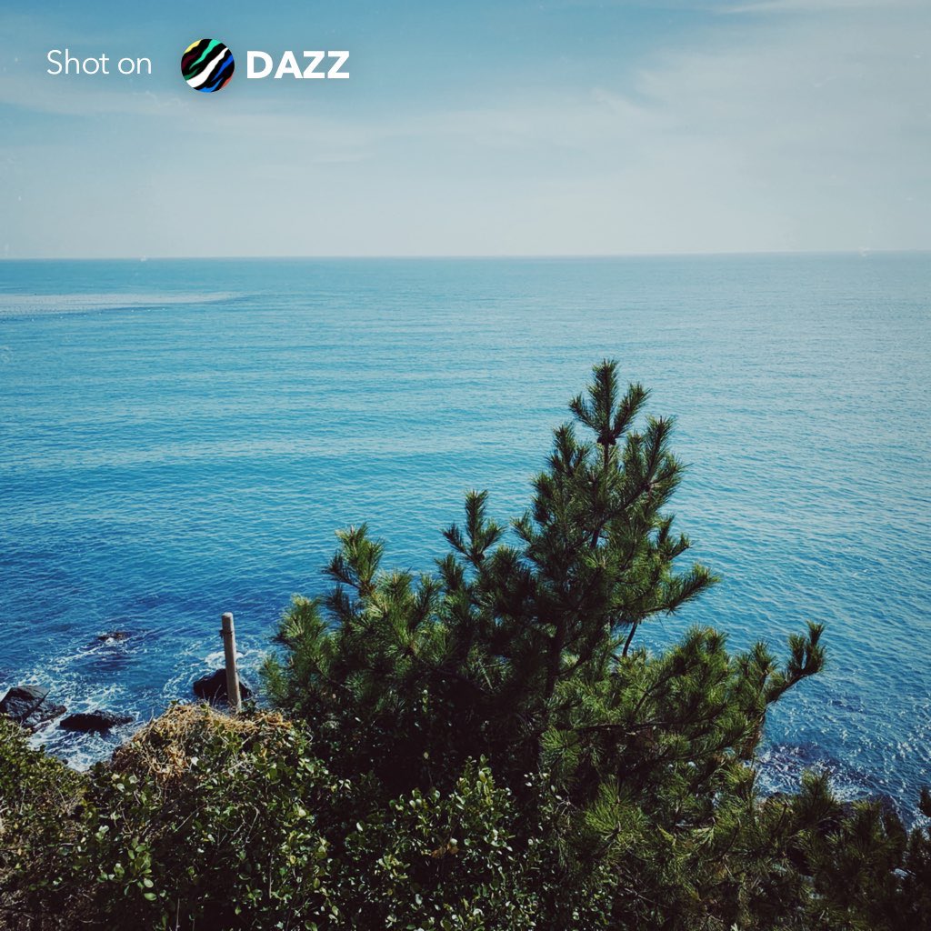 Dazz - フィルムカメラ itunes.apple.com/us/app/dazz-vi…