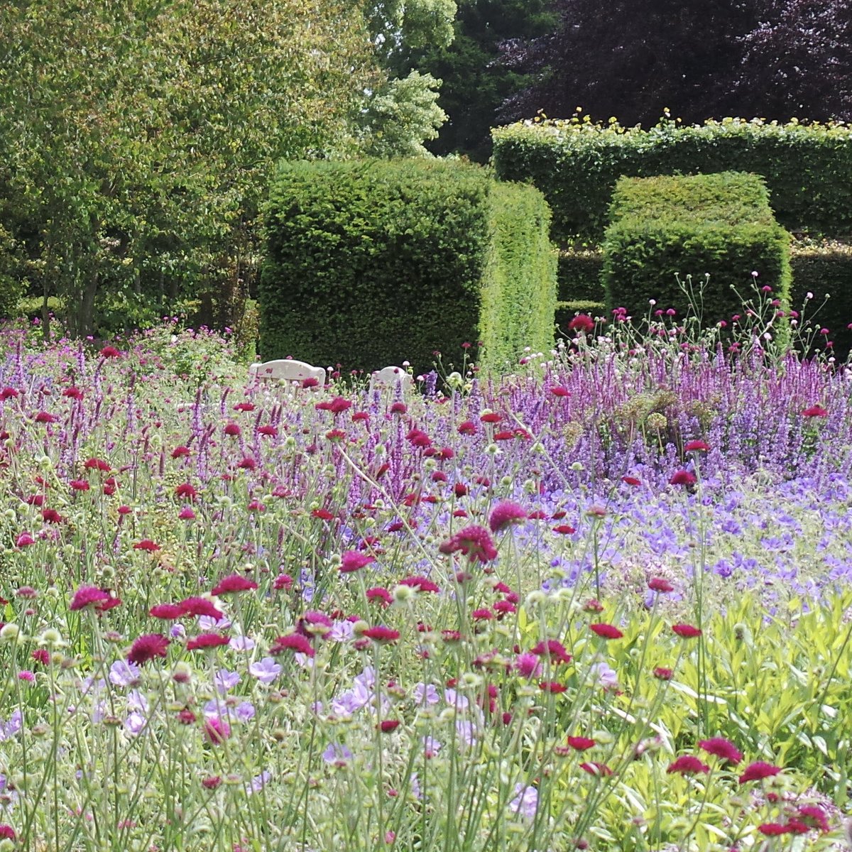 Scampston snapshots June 2020.  2: Immersive sitting spots in the Perennial Meadow. <a href="/ScampstonHall/">Scampston</a>
 #chooselandscape #pietoudolf