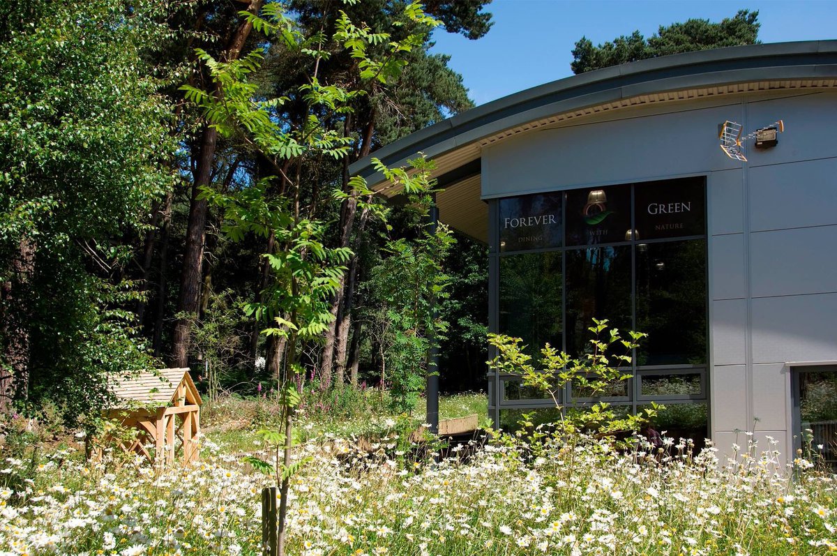 FGrestaurant's tweet photo. Forever Green at Ransom Wood is now open again for takeaways in the sunshine. Our latest menu has some tasty salads like the tomato, burrata and broad bean. We are open 9am to 2.30 Monday to Friday but will extend this soon and the full restaurant will be back from 6th July. https://t.co/5n8thyZVVJ