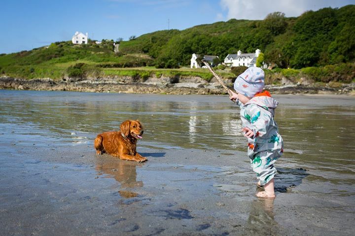 Doggy... GO!
•
•
•
•
•
#hikingwithkids #parentswhowander #childrenofmountains #takeyourkidseverywhere #littletraveler #goadventuretogether #adventuringwithkids #adventurefamily #runwildmychild #explorewithdogs #dogsthathike #dogsonadventures #thegreatoutdogs #backcountry…