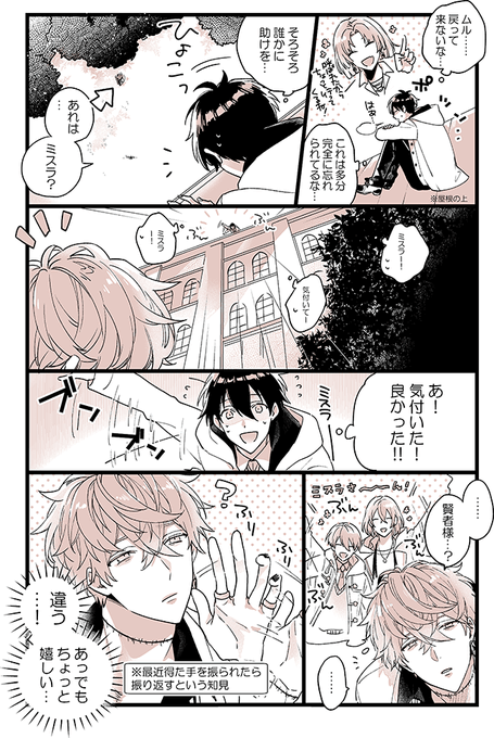 ミスラと賢者様 