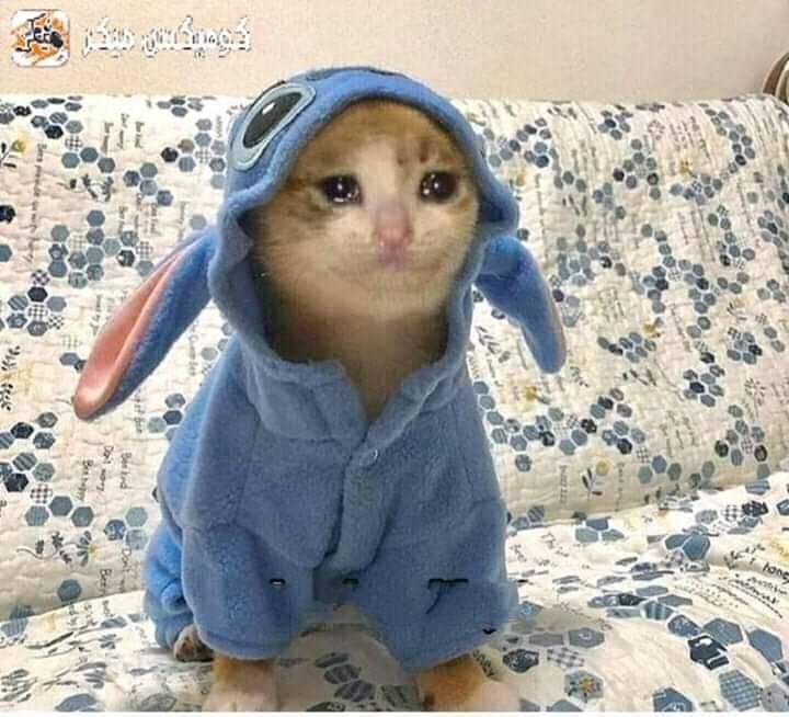 مش يمكن الحكومة خلاص متأكدة انه كله هيقابل وجه كريم فـ قرروا يسيبونا نتبسط الكام ساعة اللي فاضلين لنا في الدنيا