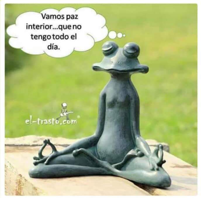 Siyam50's tweet photo. Jaja https://t.co/vZjdQFeBM7