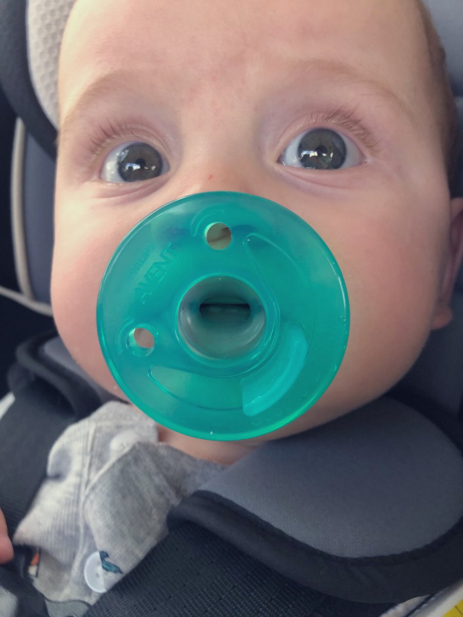 K_RO53's tweet photo. Look at those 2 little teeth🥺 https://t.co/mzMN3X5hZ6