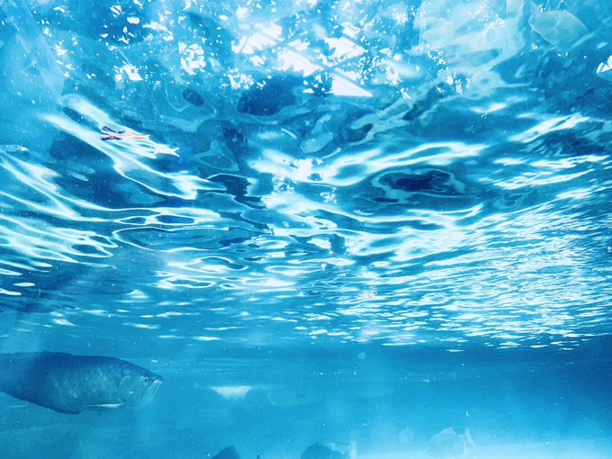 水族館で面白い水の形撮れた 