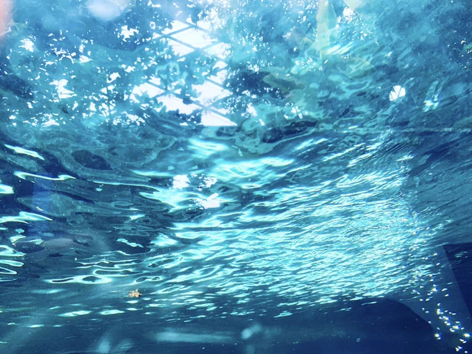 水族館で面白い水の形撮れた 