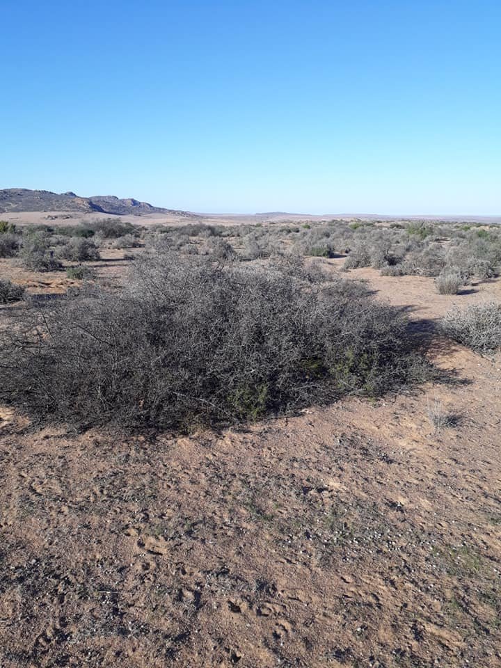 ReenvalSA tweet media