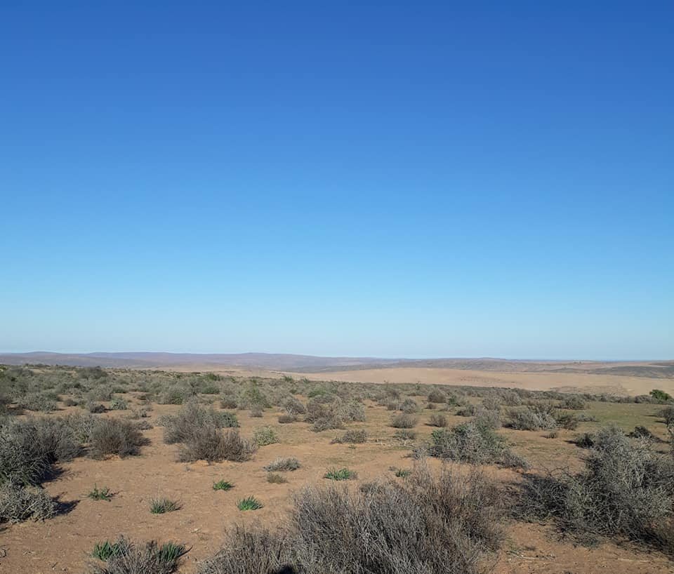 ReenvalSA tweet media