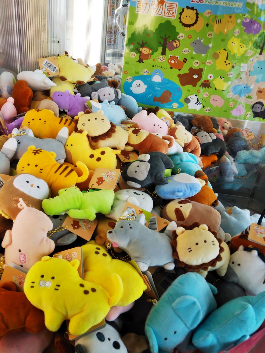定価 つぶらな瞳の動物園 全25 種類 全種類 econet.bi