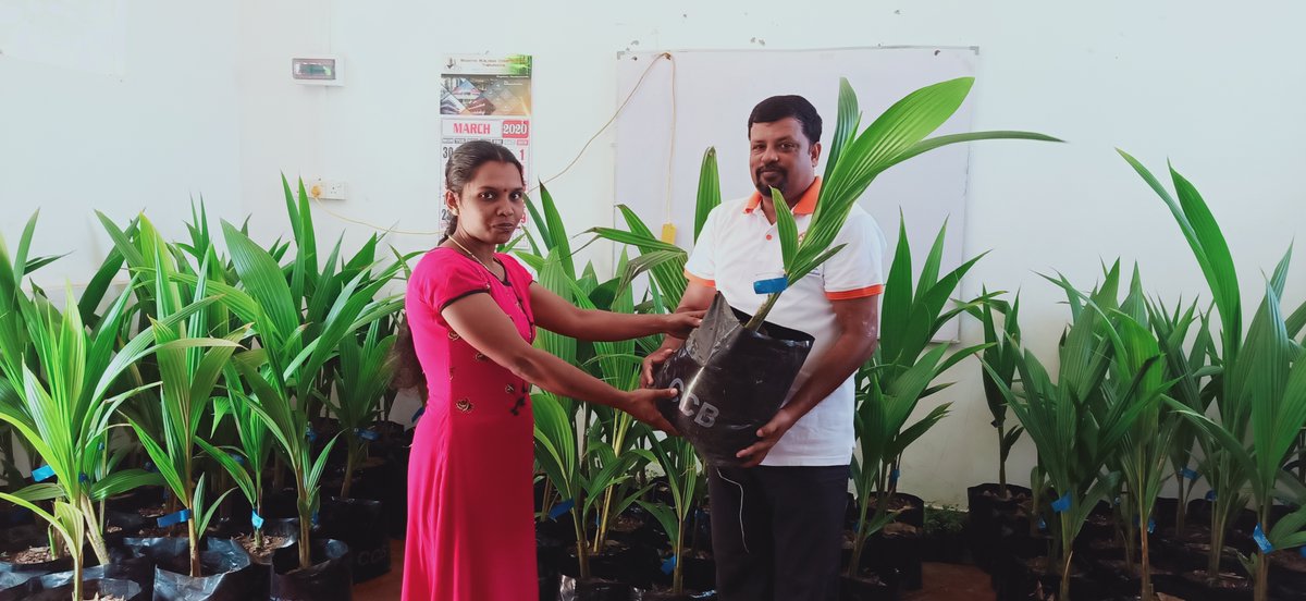 FOGoodness's tweet photo. Our Village Heartbeat Empowerment Centre in Thirukkovil, Ampara distributed 100 plants, including coconut, chili, pomegranate and lemon to our beneficiaries. These plants were donated in lieu of World Environment Day 2020!
#Treeplantating #FoGoodness #environment #SriLanka https://t.co/UMhYE5TupP