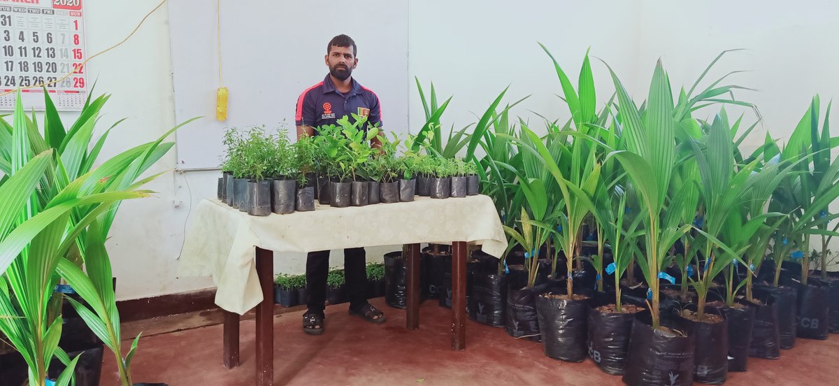FOGoodness's tweet photo. Our Village Heartbeat Empowerment Centre in Thirukkovil, Ampara distributed 100 plants, including coconut, chili, pomegranate and lemon to our beneficiaries. These plants were donated in lieu of World Environment Day 2020!
#Treeplantating #FoGoodness #environment #SriLanka https://t.co/UMhYE5TupP