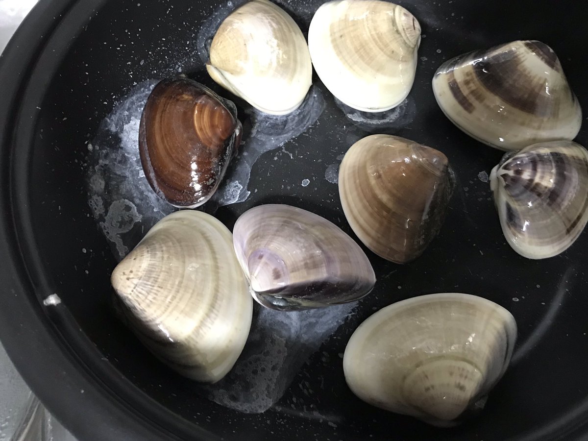 山口かおる در توییتر 父の日は 皆さん何をしていましたか 私は 大好きなハマグリを食べて幸せでした ただ 網焼きは出来ないので フライパン 焼きでも 充分美味しかった ハマグリ 網焼きは諦めて フライパン焼き 何回食べても大丈夫 大好き