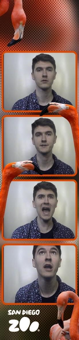 My Schlatt pictures thread: