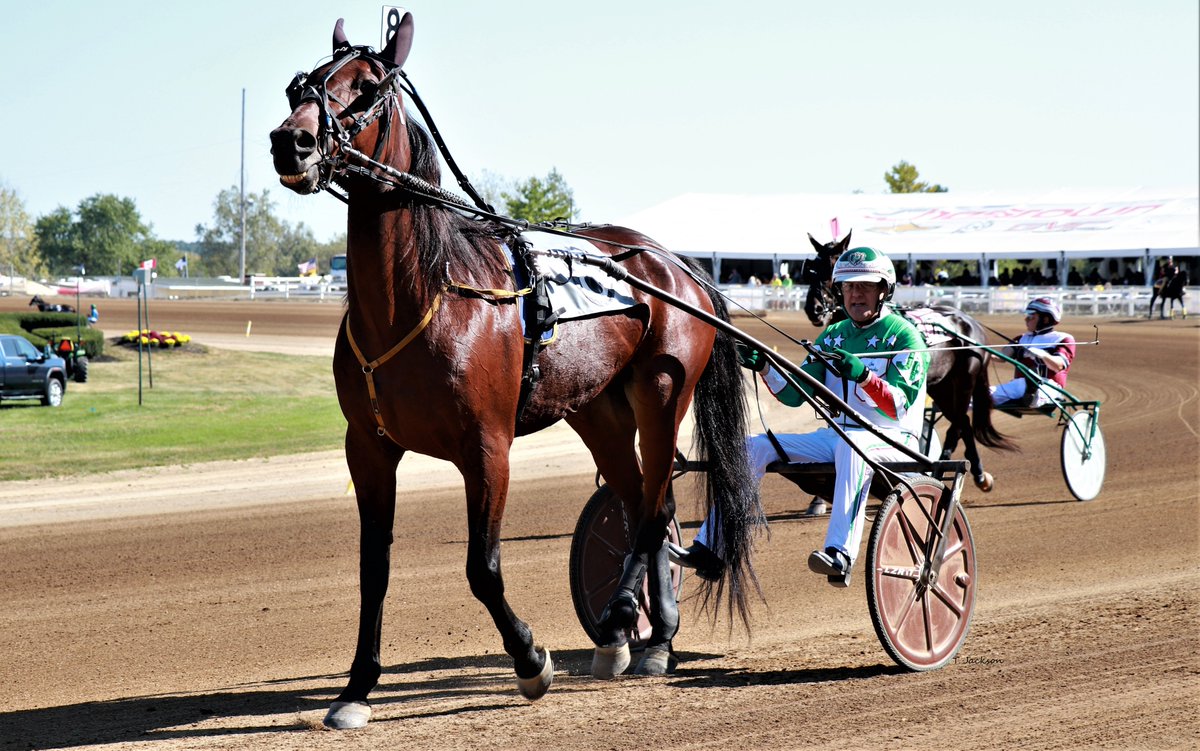 hoosiernations's tweet image. Good Morning @JaymeLaing @horseraceguy101 @tonidale_ @Chris_wponies @JoannKi32885615 @rebelsart @jtlburn @kimberlymoier @GlenPeckinpaugh @KathleenBaitzel @joe_norte @elliotgordon2 @SadandSulk @dolenski_john @BradA53472906 @vnssa926 @chadmoore1976 #SmartFlight #JosephPennacchino