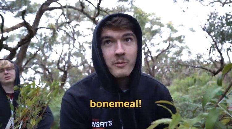 My Schlatt pictures thread: