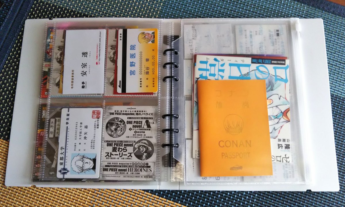 龍太 セリアのマイコレシリーズのファイルに Bl漫画のポストカードやペーパーを入れてみた やっと 綺麗に収納できた セリア マイコレ Bl漫画