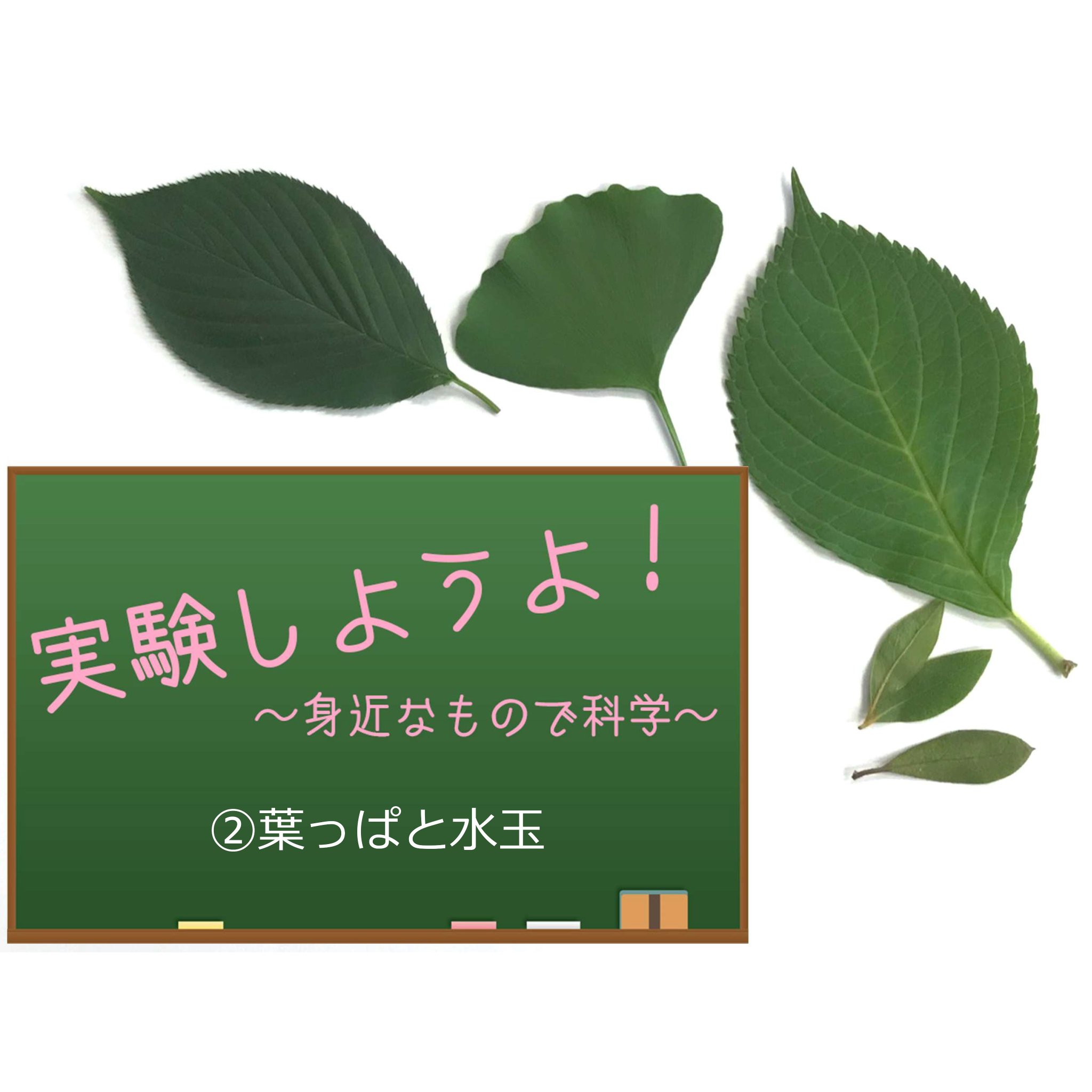 大阪市立大学 地域連携センター オンラインプログラム 実験しようよ 身近なもので科学 実験 葉っぱと水玉 のご紹介 T Co Rdgeejanrh オンラインプログラム 実験しようよ 大阪市立大学 Osakacityuniversity 大阪市立大学地域連携 大阪市立大学 地域連携センター オンラインプログラム 実験しようよ 身近なもので科学 実験 葉っぱと水玉 のご紹介 T Co Rdgeejanrh オンラインプログラム 実験しようよ 大阪市立大学 Osakacityuniversity 大阪市立大学地域連携
