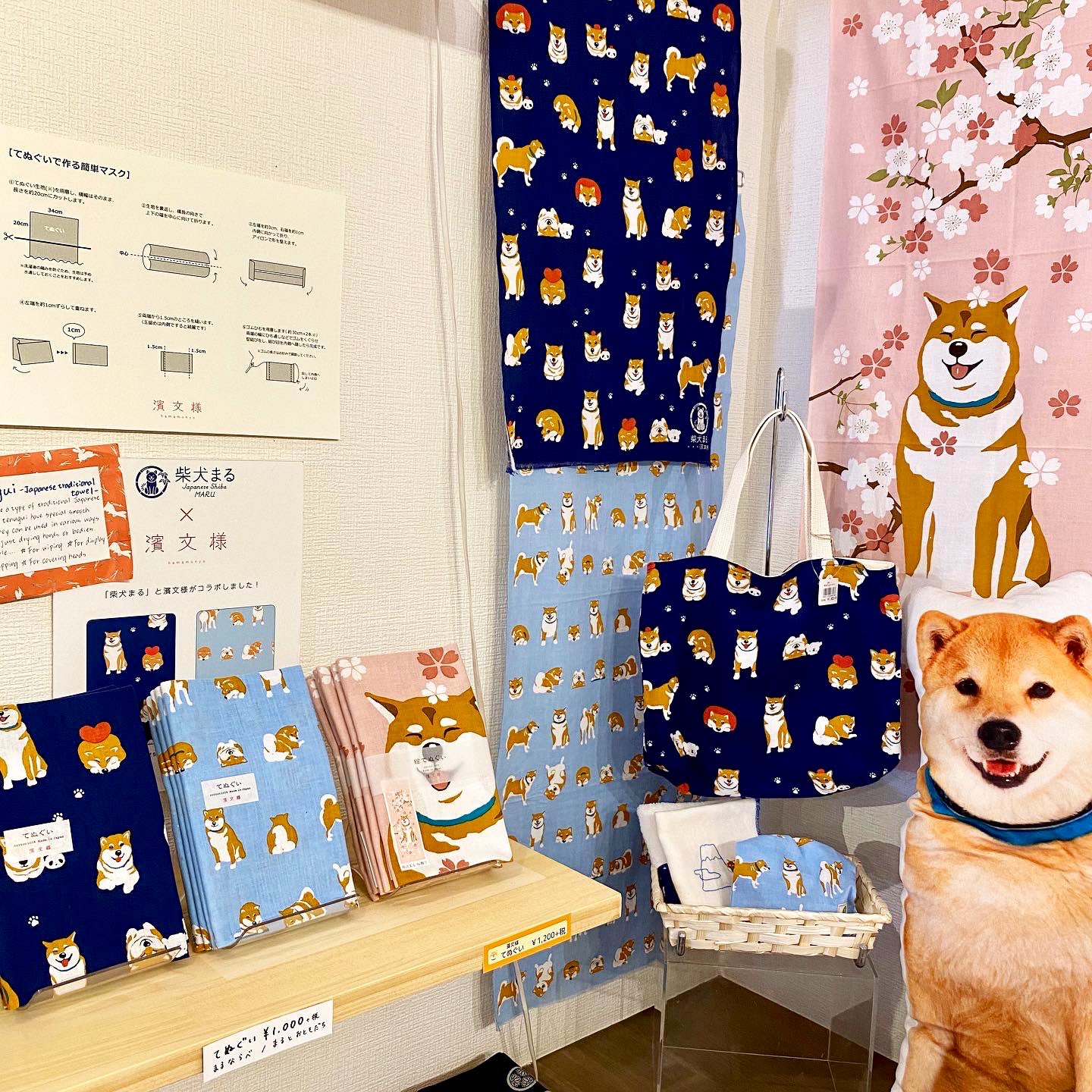 柴犬まるgallery Marusan ギャラリー Amp 通販サイト情報 横浜から 新しい和 を発信する テキスタイルブランドの 濱文様 と柴犬まるのコラボ商品のご紹介です 絵てぬぐい 柴犬まる 桜舞う 1 3 税込 てぬぐい 柴犬まるとおともだち 柴犬