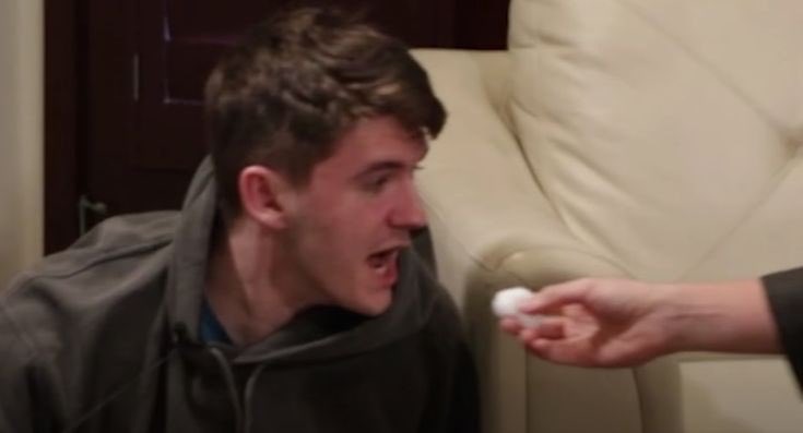 My Schlatt pictures thread: