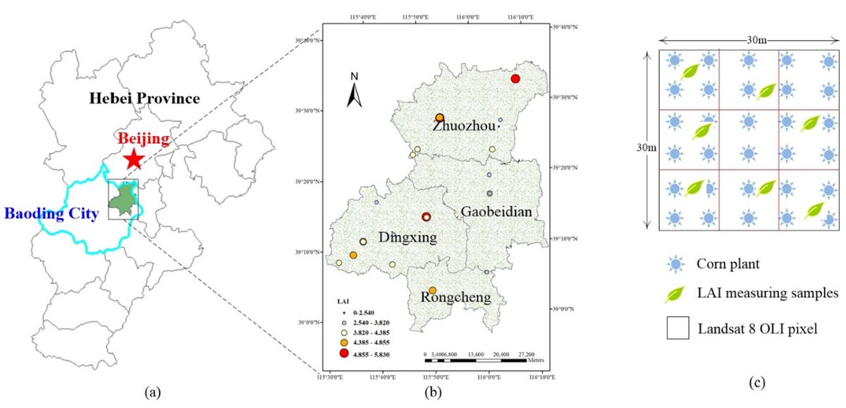 RemoteSens_MDPI's tweet photo. #RSHighlyCitedPaper
Retrieving #Corn #Canopy #Leaf Area Index from Multitemporal #Landsat #Imagery and #Terrestrial #LiDAR Data
By Wei Su, Jianxi Huang, Desheng Liu, and Mingzheng Zhang.
👉https://t.co/j4d1acXcS3
#RemoteSensing
#LeafAreaIndex
#LeafAngle
#PROSAIL
#satellite https://t.co/Tmc9G6mJLg