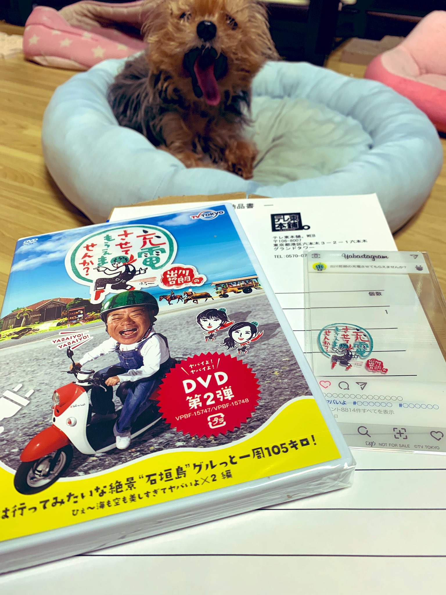 O Xrhsths たけちよ Sto Twitter 出川哲朗の充電させてもらえませんか のdvdが届きました Damともキャンペーンのオーディションで 課題曲を歌って採用決定された曲がこちら 早速 視聴してみました Dam ともでカラオケ公開中 Damtomo さそり座の女 美川憲一