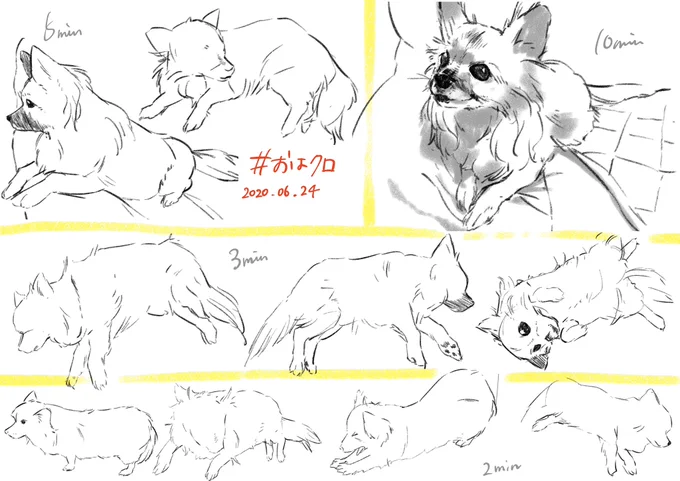 #おはクロ

犬〜!!友達の家のチワワを見慣れているおかげかちょっと描きやすかった 