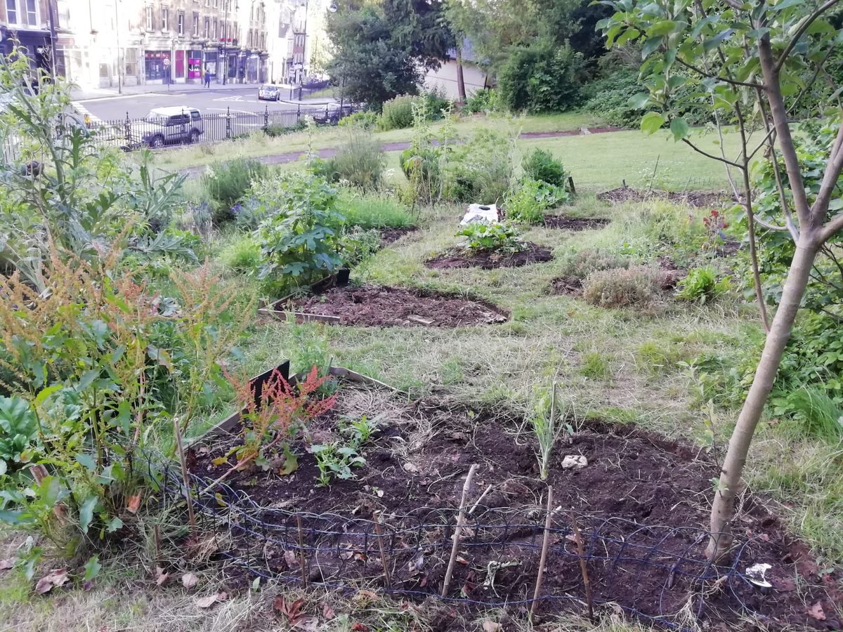 We’re reviving our garden and v soon are going to be looking for new #volunteers to join our group!