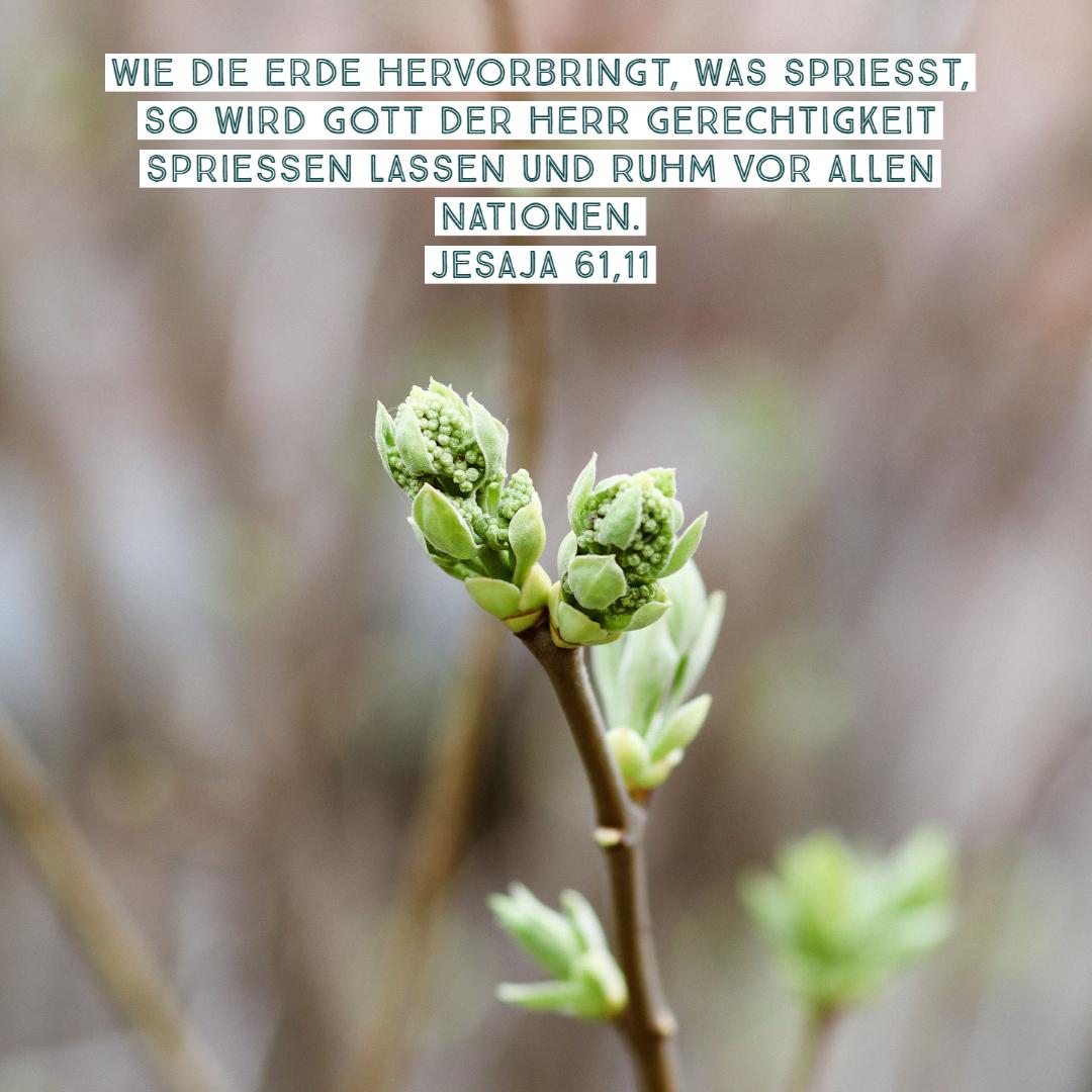 kirchehamburg's tweet photo. #glaubensimpuls #bibelvers #gottvertrauen #wahrheit #zuversicht #liebe #gott #jesus #gottistgut #glaube #gottliebtdich #kirche #gutebotschaft #evangelium #christentum
Foto: ©Taisiia Shestopal/Unsplash https://t.co/PxLfZmq1NT