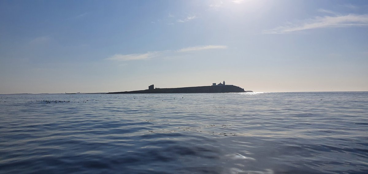 thefarnes's tweet image. Morning everyone. A little bit of blue on blue today.. Just beautiful... #seahouses #farneislands #northumberland