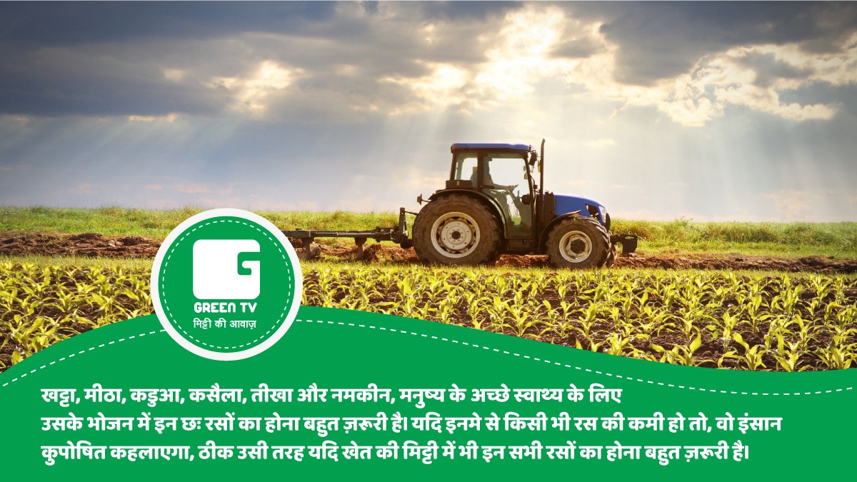 GreenTV_India's tweet photo. #GreenGyan #SoilHealth
जब तक भूमि में सभी छः प्रकार के रस न उगाए जाएँ तब तक भूमि का स्वाथ्य भी अधूरा ही है।
#Poshaktatva #soilnutrients
#Soil #Health #Food #nitrogen (N), #phosphorus (P) #potassium (K) #calcium #magnesium
#sulfur #basicagrilearnings #Agriculture #AgriGyan https://t.co/UMQfBE9a2C