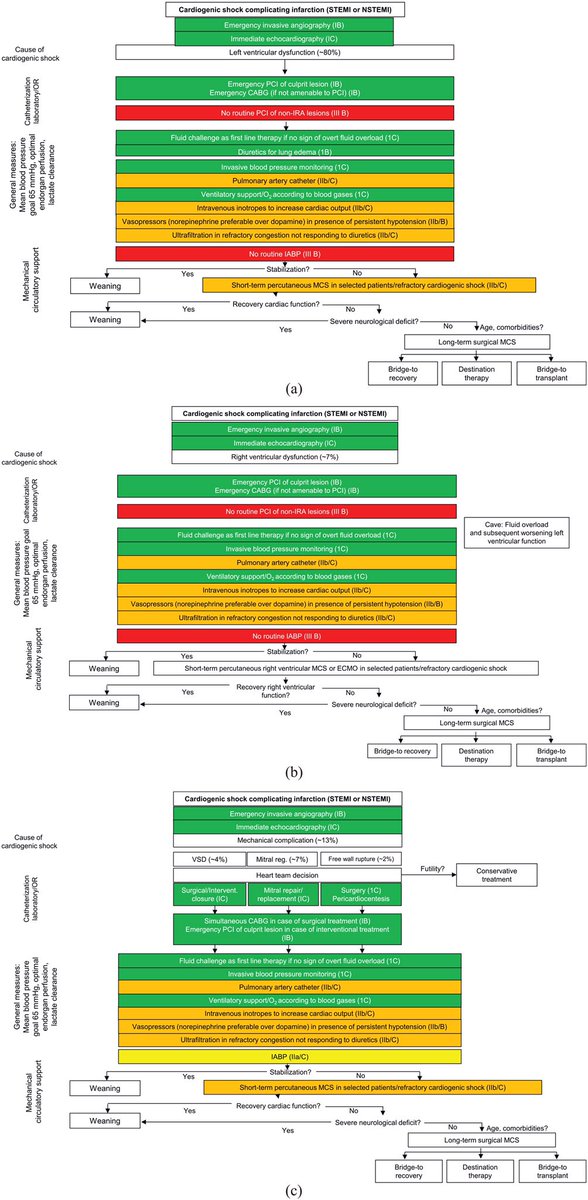 ACVCPresident's tweet photo. Acute Cardiovascular Care Association position statement for the diagnosis &amp; treatment of patients with AMI complicated by cardiogenic shock

-important #ACVC_ESC position paper by @thiele_holger @susannaprice et al in #EHJ_ACVC @escardio 

 https://t.co/JCfbCAvQrB https://t.co/IyJMDA1EHL