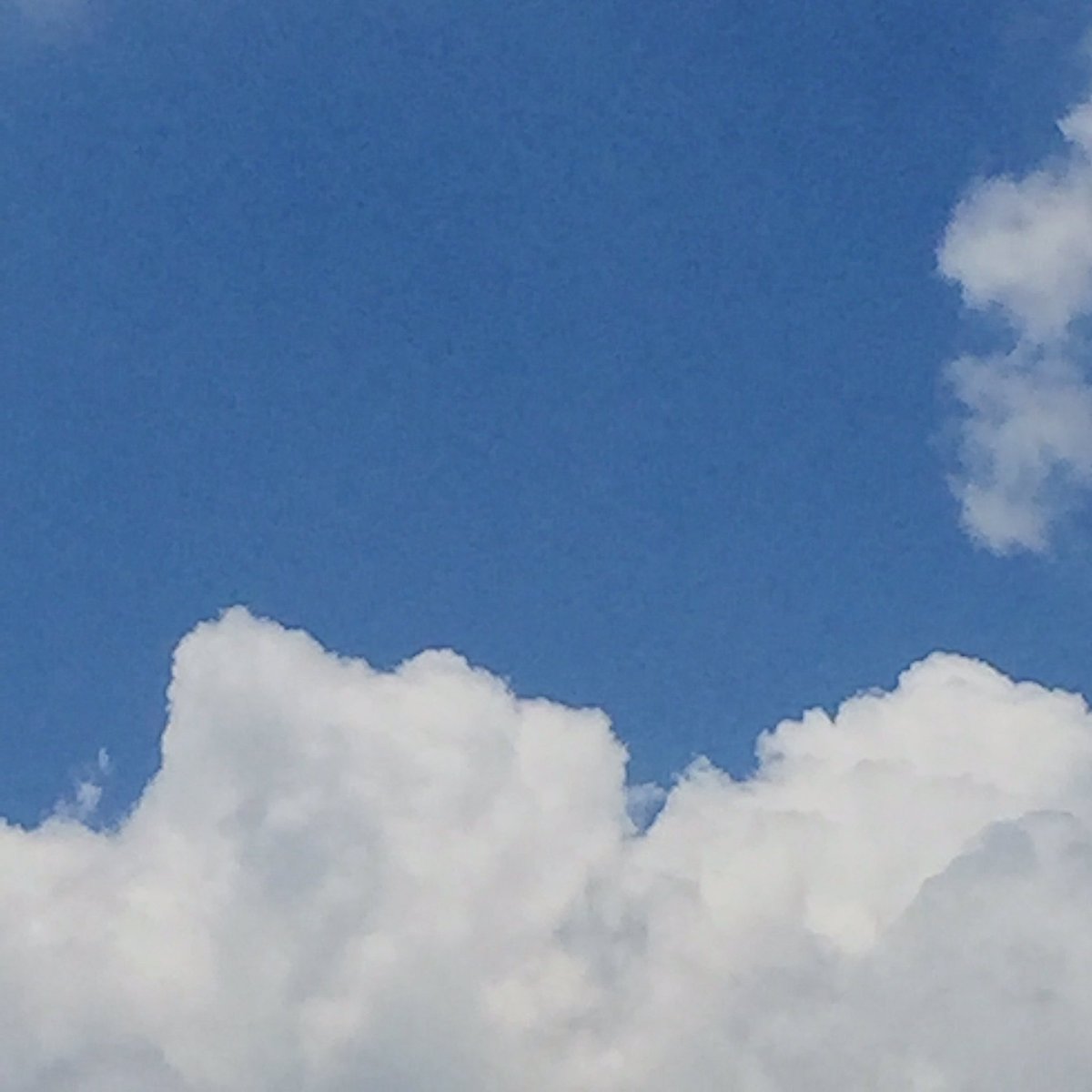 ɹǝd tweet media