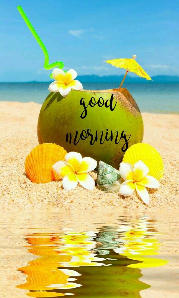 wendymurphymufc's tweet photo. Good morning my delicious cocktails 🍹 woo hoo looks like a fabulous day 🌞 so happy 💛 the sun is shining and it instantly makes you feel in tip top form 🌻 enjoy the beautiful weather 🌞 love and hugs 🤗 #thesunisshining #theweatherissweet #yeah https://t.co/DUnaEV3Tfx