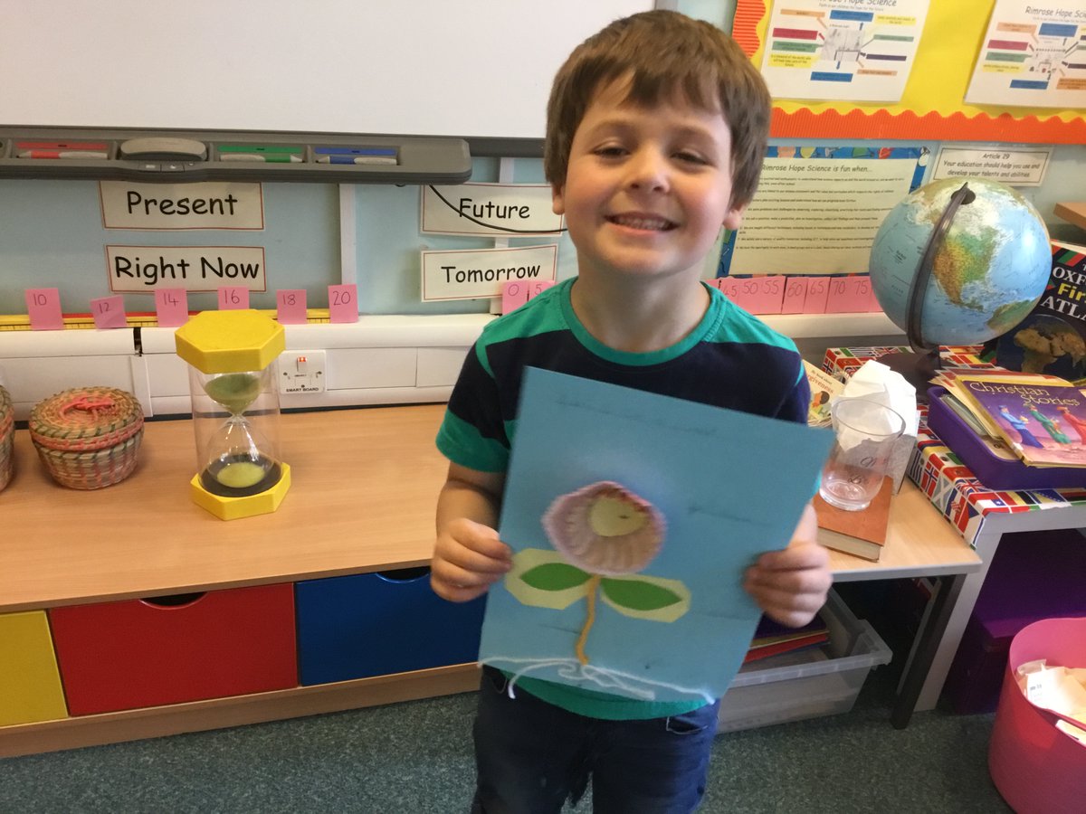 RimroseHope's tweet photo. The children loved making and labeling their flowering plants. Can you guess what we used for the petals? #craftylearning #plants #ks1 https://t.co/FTIXOQAaeT