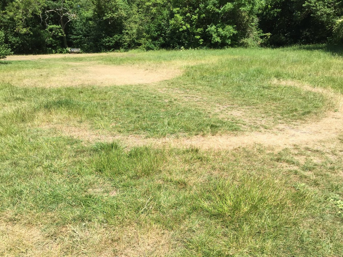 OxleasFriends's tweet photo. Our Houses in the Woods walks will return one day.

The Ghost of Falconwood House (later Hotel) is visible this summer as yellow patches in Hotel Field. You can see the foundation scars of the front of Falconwood House built in 1865 for Lord Truro and demolished in the 1950s. https://t.co/TyzkYSk6sa