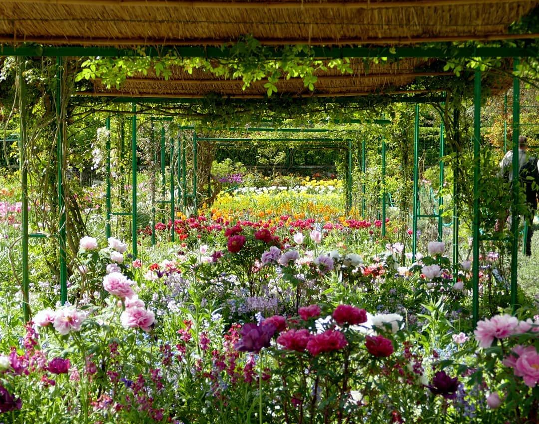 AnneMortier1's tweet photo. Le jardin de Claude Monet à Giverny https://t.co/3xoLOC2WI1