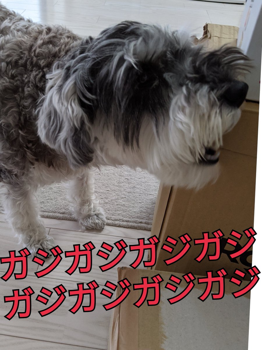 おもちゃのちゃちゃちゃ