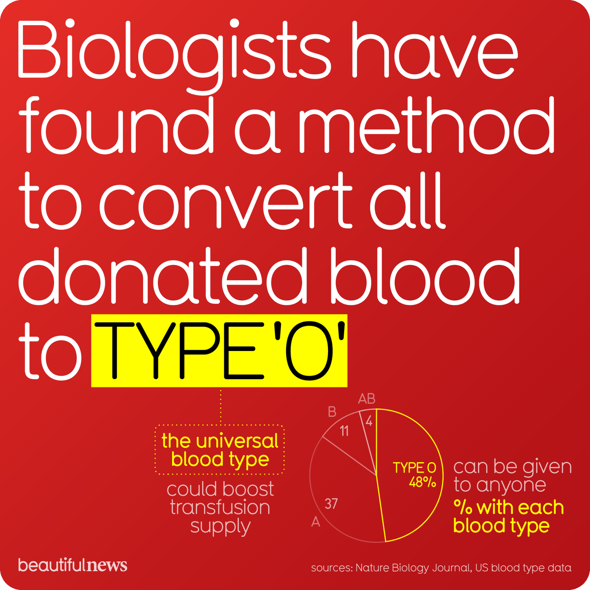CalforFinance's tweet photo. A newly discovered enzyme in the human gut can strip the sugars from type A and B to transform it into O, the blood type most people can accept. If it proves to be safe, it could revolutionise donation. More blood available. More lives saved.

Source: https://t.co/D2W6UvvHbE https://t.co/Ib0s1CTWOM