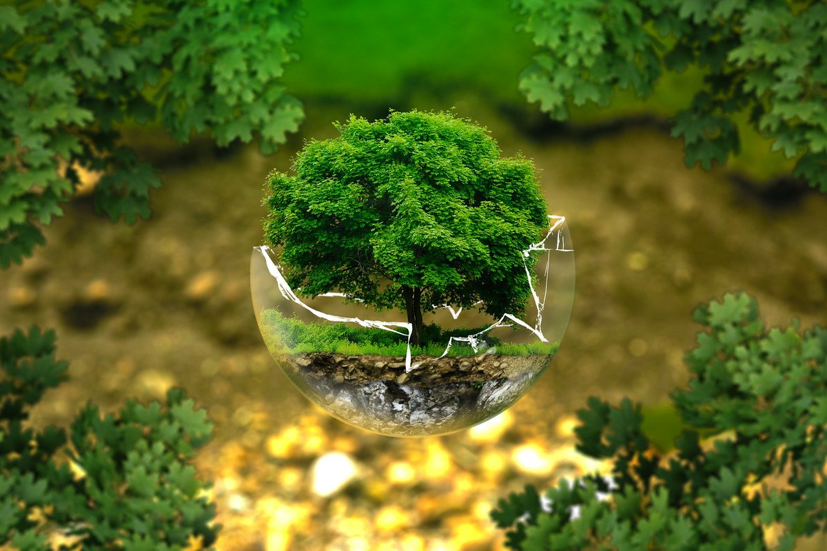 L’écocide, une arme juridique parmi bien d’autres pour défendre l’environnement
bit.ly/31hsdd7
