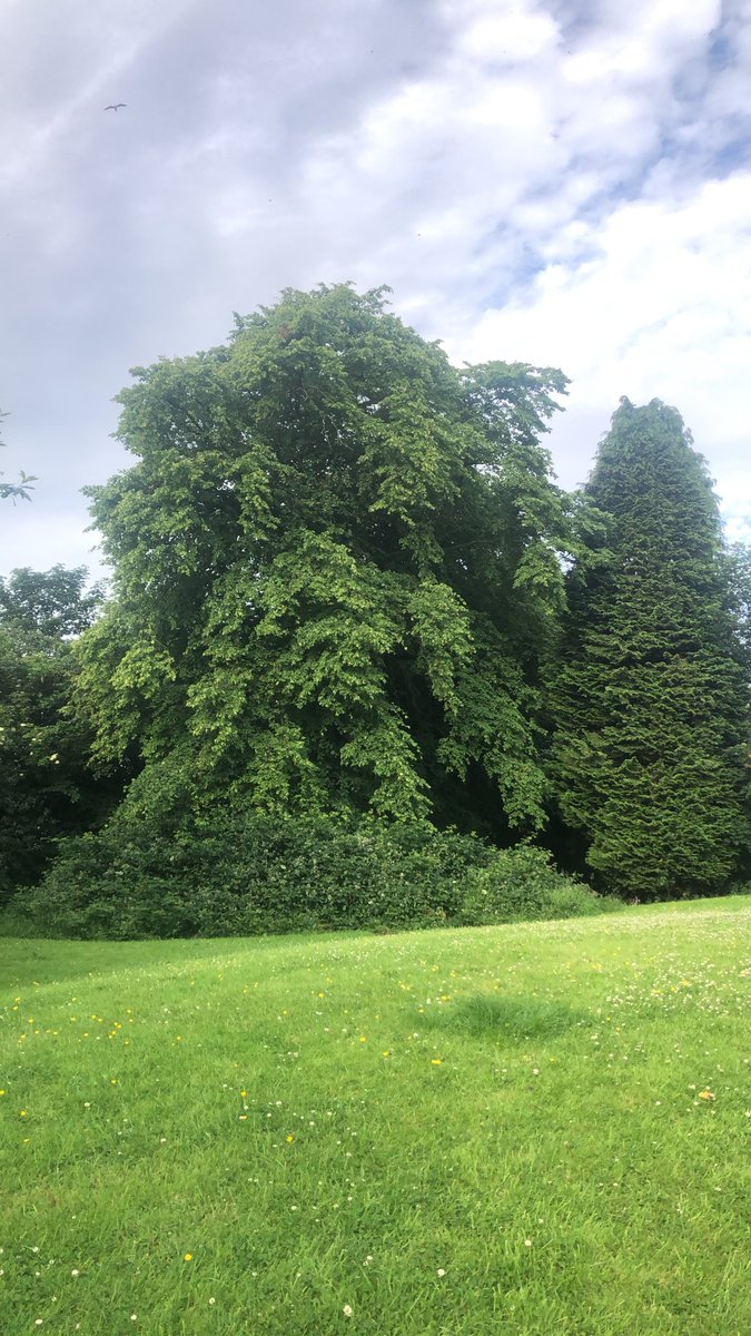 DofEGlasgow's tweet photo. It’s going to be a beautiful day in Glasgow today! Let’s get #walking for our #physicalsection something you can do from your front door! You can take photos or use apps for evidence for leaders to sign off! @DofEScotland @GlasgowESPTeam @glasgowlife #bronze #Silver #gold https://t.co/V5RvX8I4HR