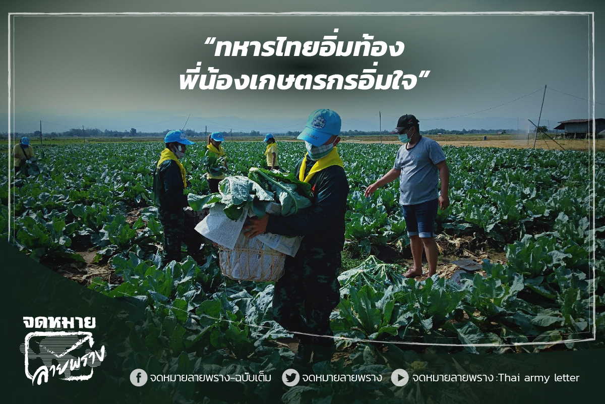 thaiarmyletter's tweet photo. ม.พัน.28 พล.ม.1 จัดกำลังพลลงพื้นที่พบปะเกษตรกรที่ได้รับผลกระทบราคาตกต่ำจากการแพร่ระบาดของโรคติดเชื้อไวรัส Covid -19 โดยหน่วยเข้ารับซื้อพืชผักผลผลิตของเกษตรกรถึงสวน ในพื้นที่ อ.หล่มสัก จ.เพชรบูรณ์ เพื่อช่วยเหลือบรรเทาความเดือดร้อนให้กับชาวเกษตรกร

#จดหมายลายพราง #thaiarmyletter https://t.co/zfzE4pyH4V