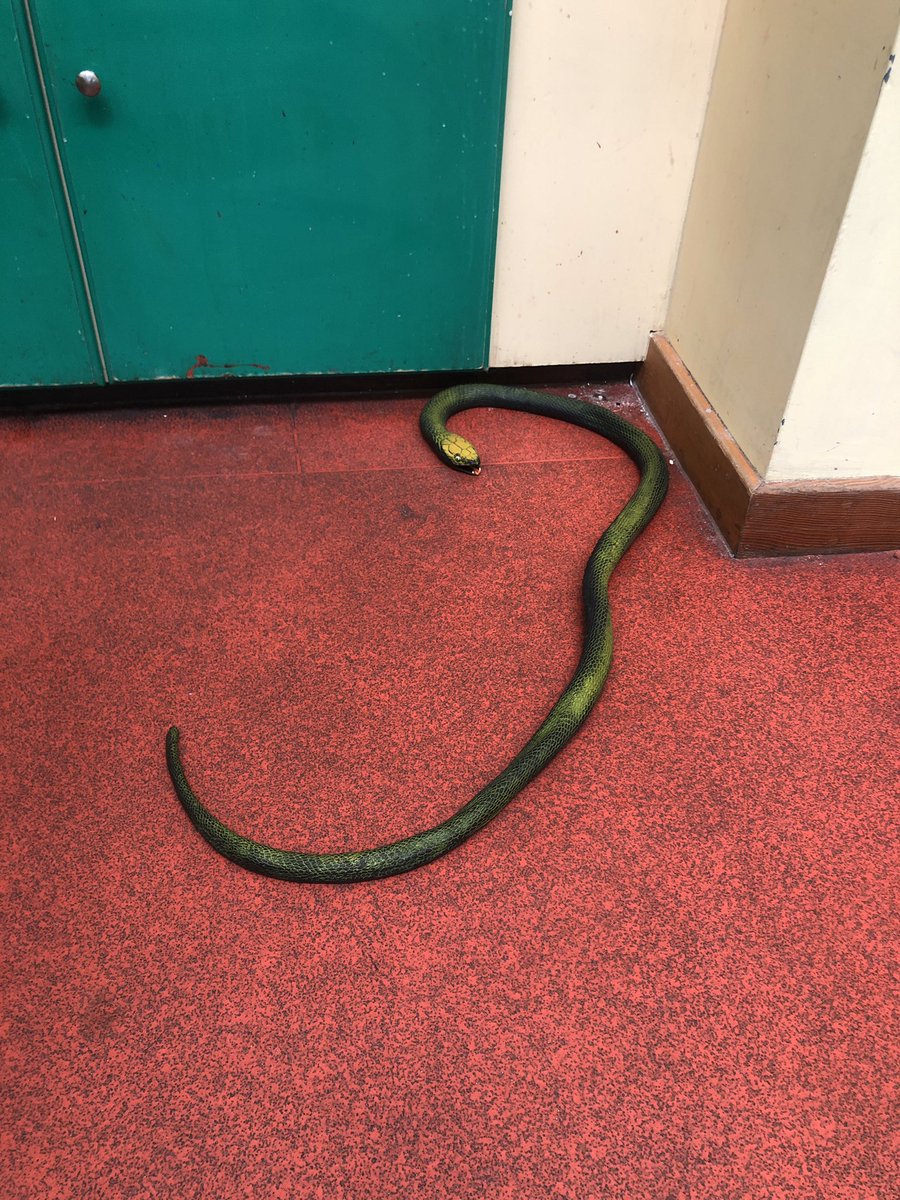 Miss Hammond tweet media