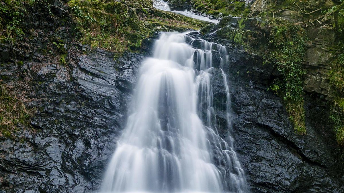 Coed Felenrhyd has stood largely untouched for 10,000 years.And in this unique wood's sheltered gorge setting, in a region where it rains on average 200 days a year, the streams and waterfalls that cross the landscape have created an ecosystem where life thrives.